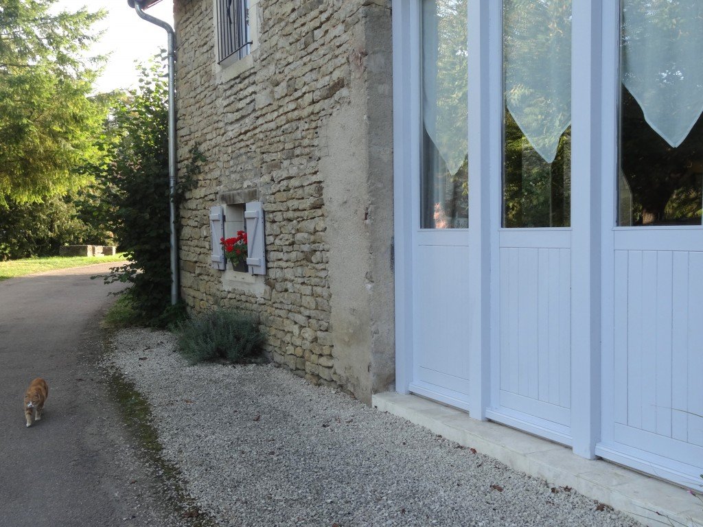 La Ferme de la Lochère with Cat Photo by Maurie O'Connor