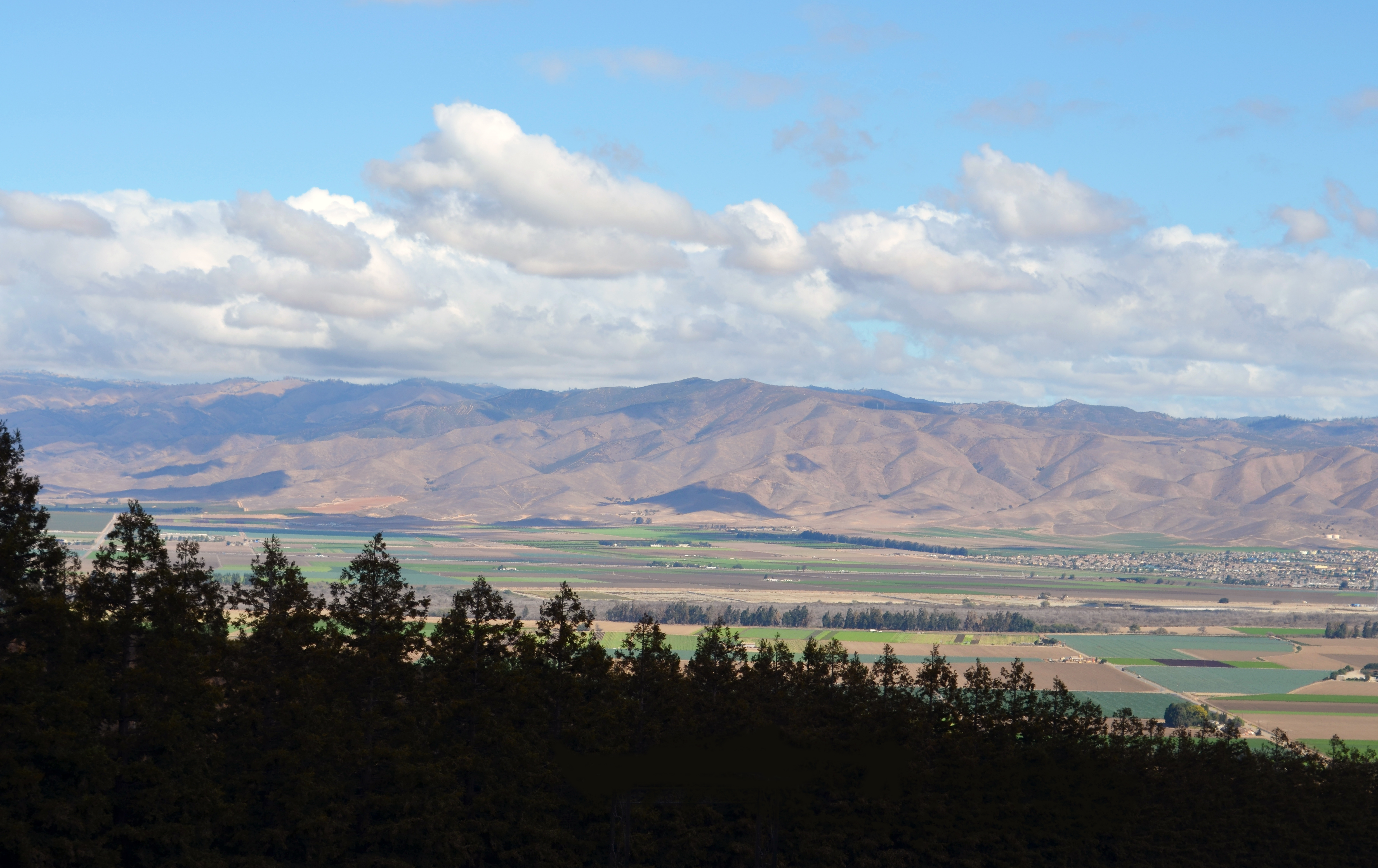 Valley Floor View in the Santa Luicia Highlands