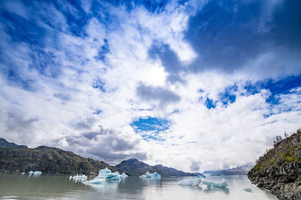 Icebergs on LAke Grey, Patagonia