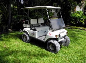 Our island chariot, #55