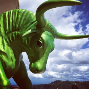 Toro Verde The Green Bull