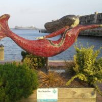 Norfolk Virginia mermaids