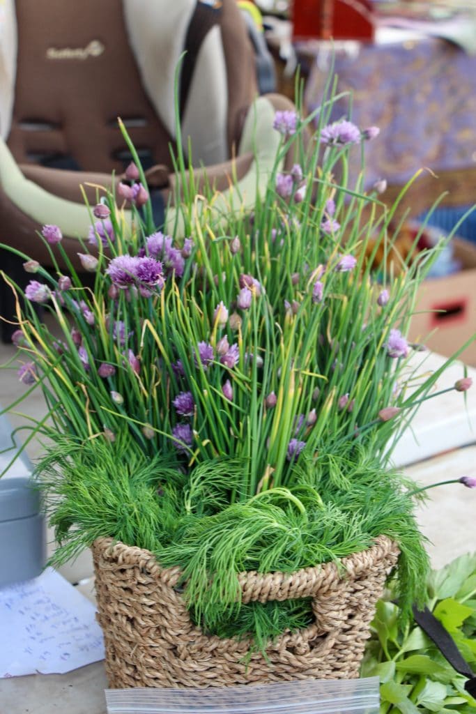 Fireweed Community Market, Whitehorse © Christine Salins