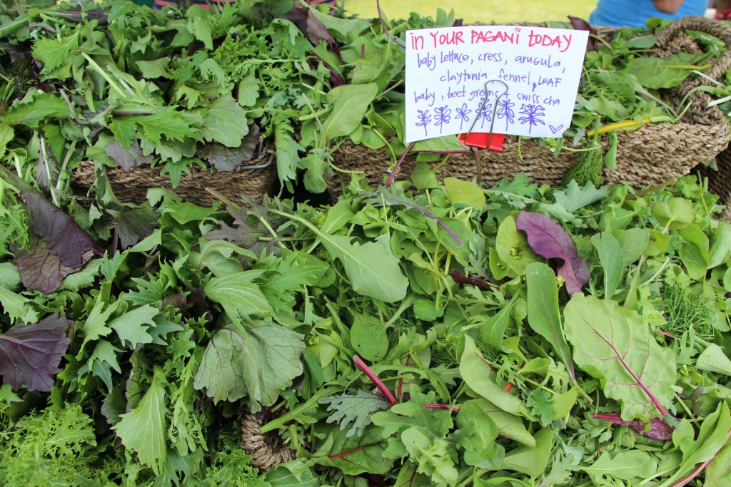 Salad greens for sale at Fireweed Community Market © Christine Salins
