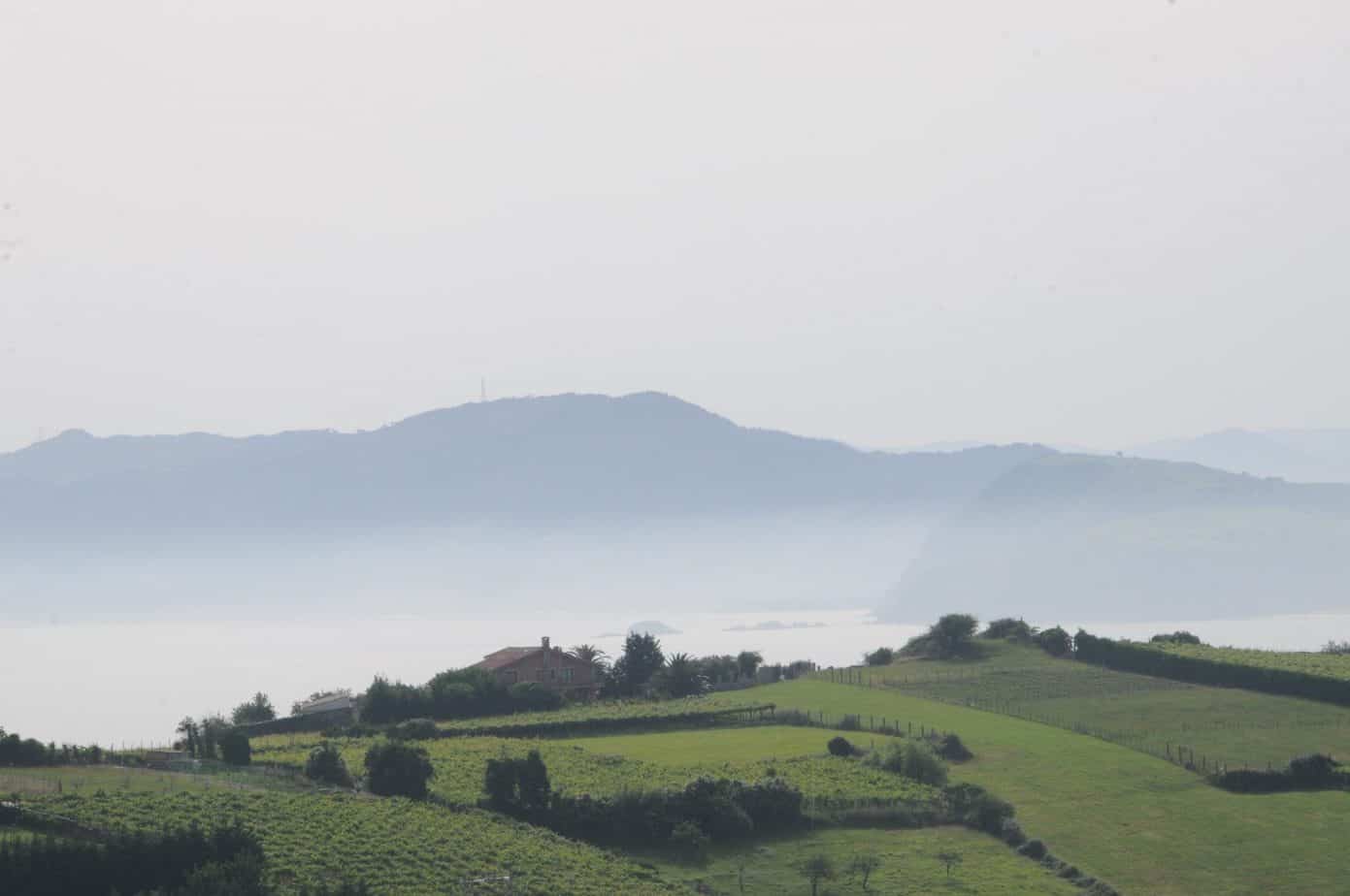 Txakoli - the 'Other' Basque Wine - Food, Wine & Travel
