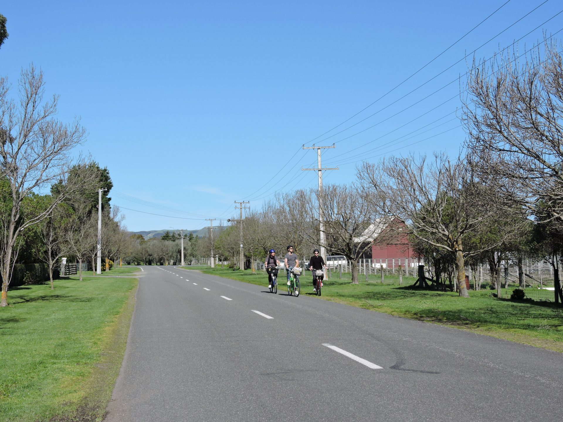 New Zealand's Delightful Wine Village Food, Wine & Travel