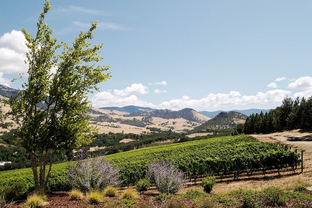 Explore Oregon's Undiscovered Rogue Valley wine region