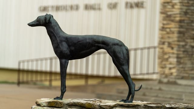 Greyhound Hall of Fame 