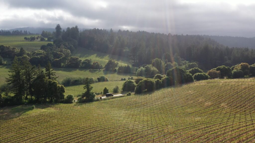 Drone view of Anderson Valley
