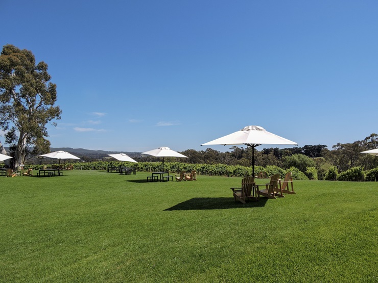 View of Adelaide Hills from Nepenthe tasting room