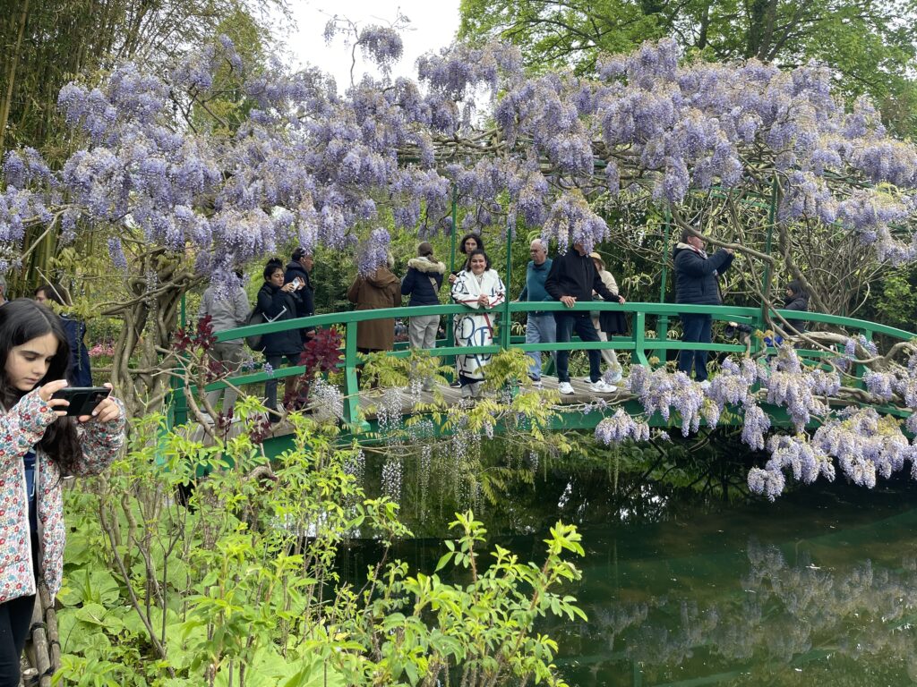 A bridge full of people over looking a pond filled with flowers