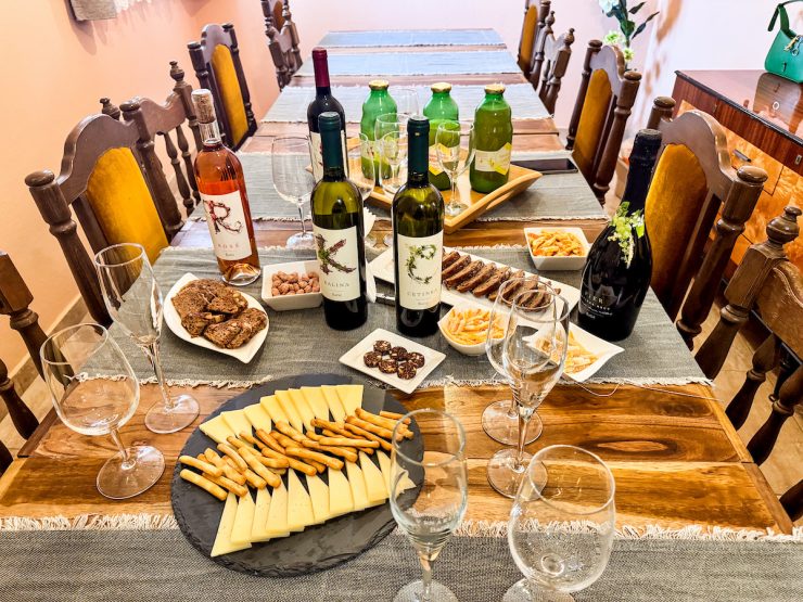 Bačić Wine Pairings with snacks from OPG Protic Sanjan with Wines of Croatia