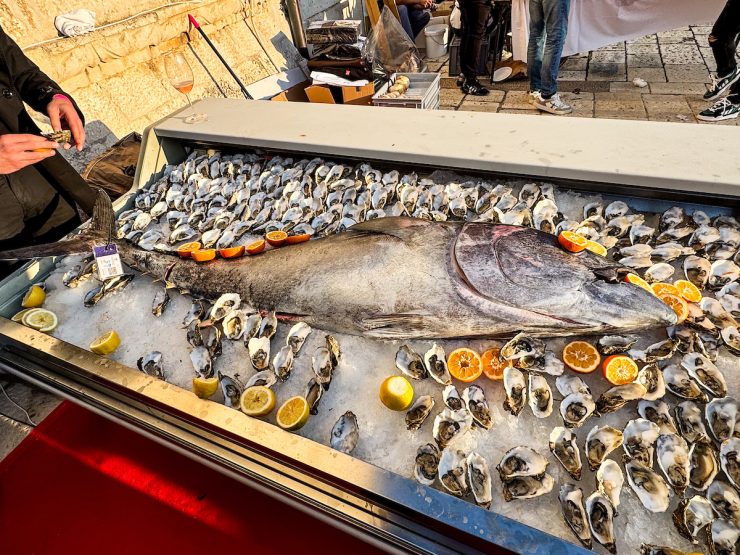  Oysters and fish at Hvar Wine Festival