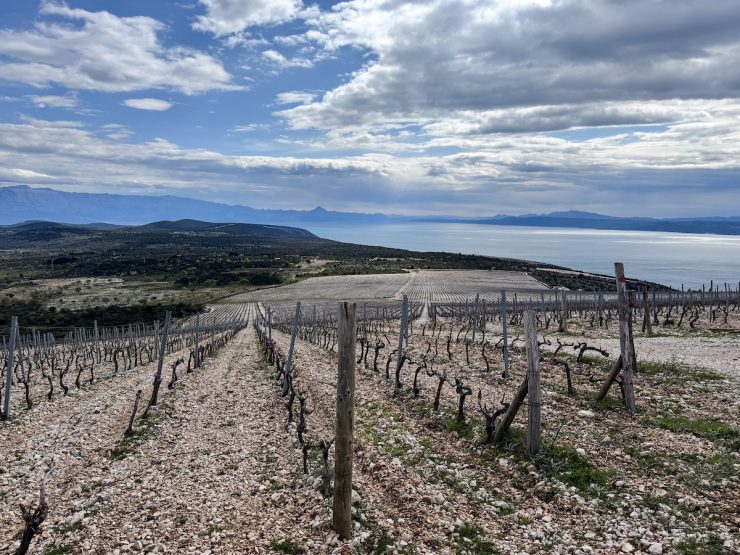 Stina Winery on Brak Island