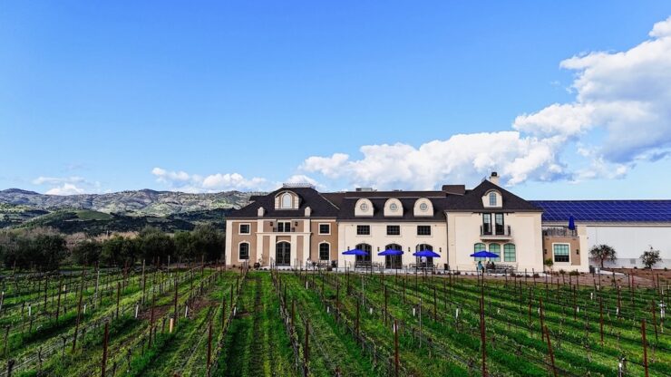 Materra Cunat Vineyards