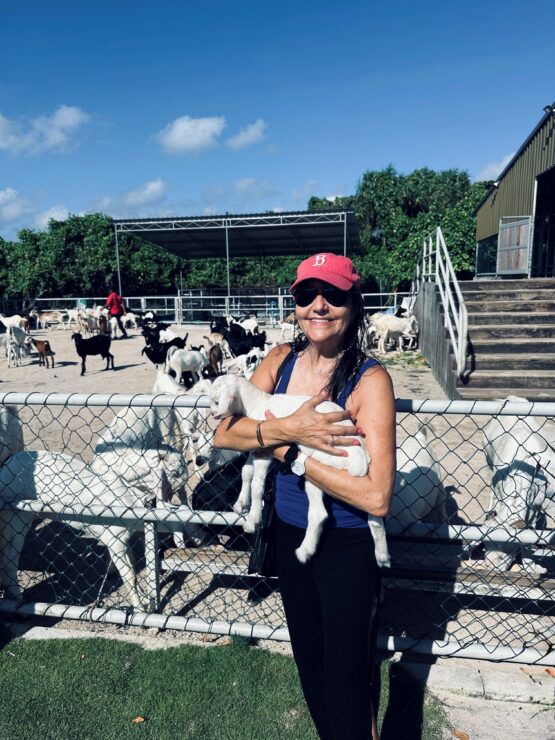 The goat and horse farm encourage hands-on participation