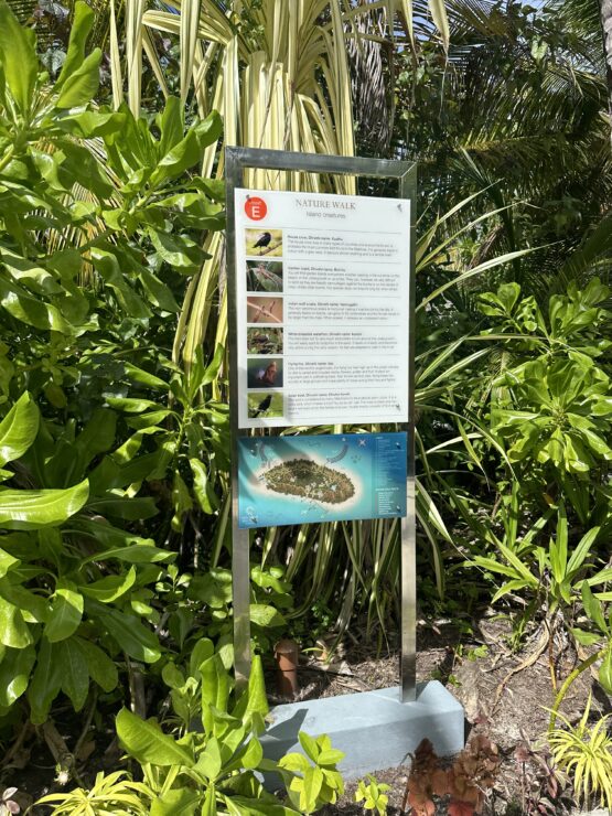 Sun Siyam's nature works indicate the flora and fauna you'll see as you walk around the resort