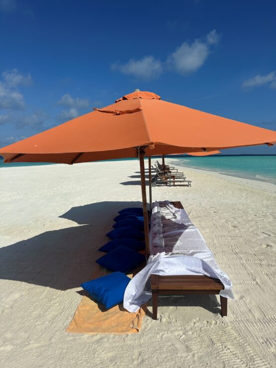 The private personal picnic setup on a private sandback at Siyam Resorts