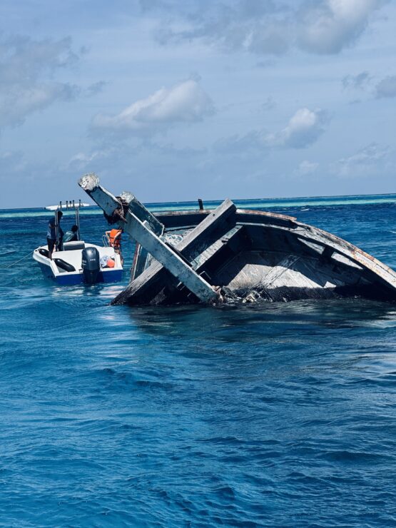 Diving at Sun Siyam world takes you to a shipwreck where many fish abound