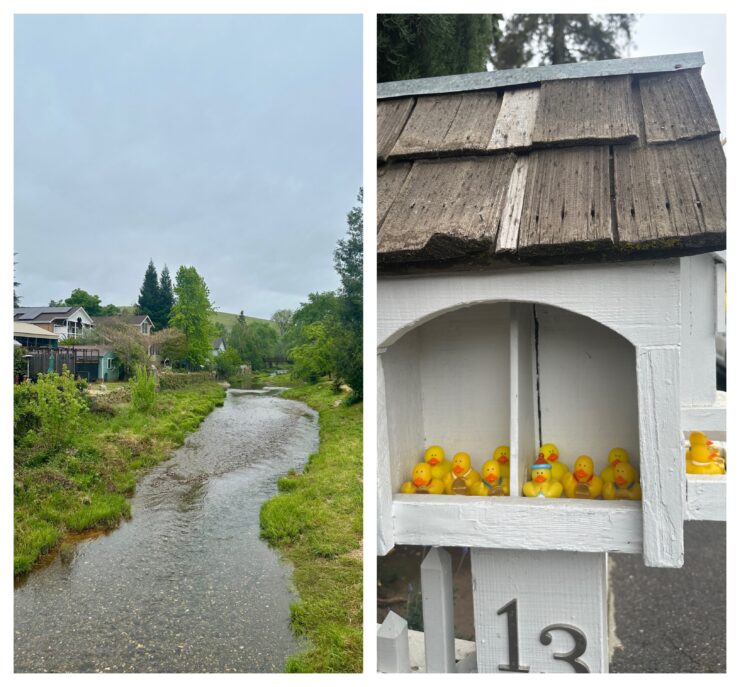 Sutter Creek on left, mailbox with rubber ducks on right