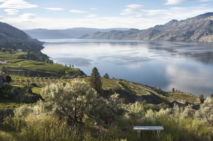 View of Vineyards from the headlands of Bottleneck Drive of South Okanagan Lake © Stephanie Seaton