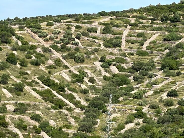 On Hvar, the UNESCO-protected  structures of Stari Grad Plain, including walls and shelters, were created by the ancient Romans.