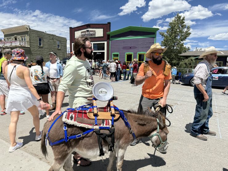 Mini burro after finishing the 15 mile short race in Fairplay.