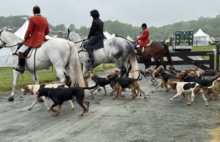 Parade of Hounds at Winterthur was worth howling about.