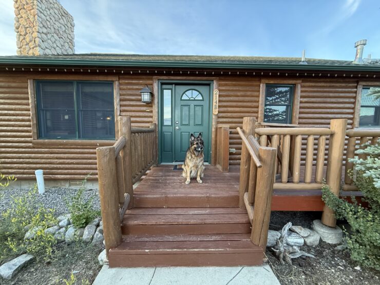 Sophie at a dog-friendly Fairplay, Colorado cabin. 