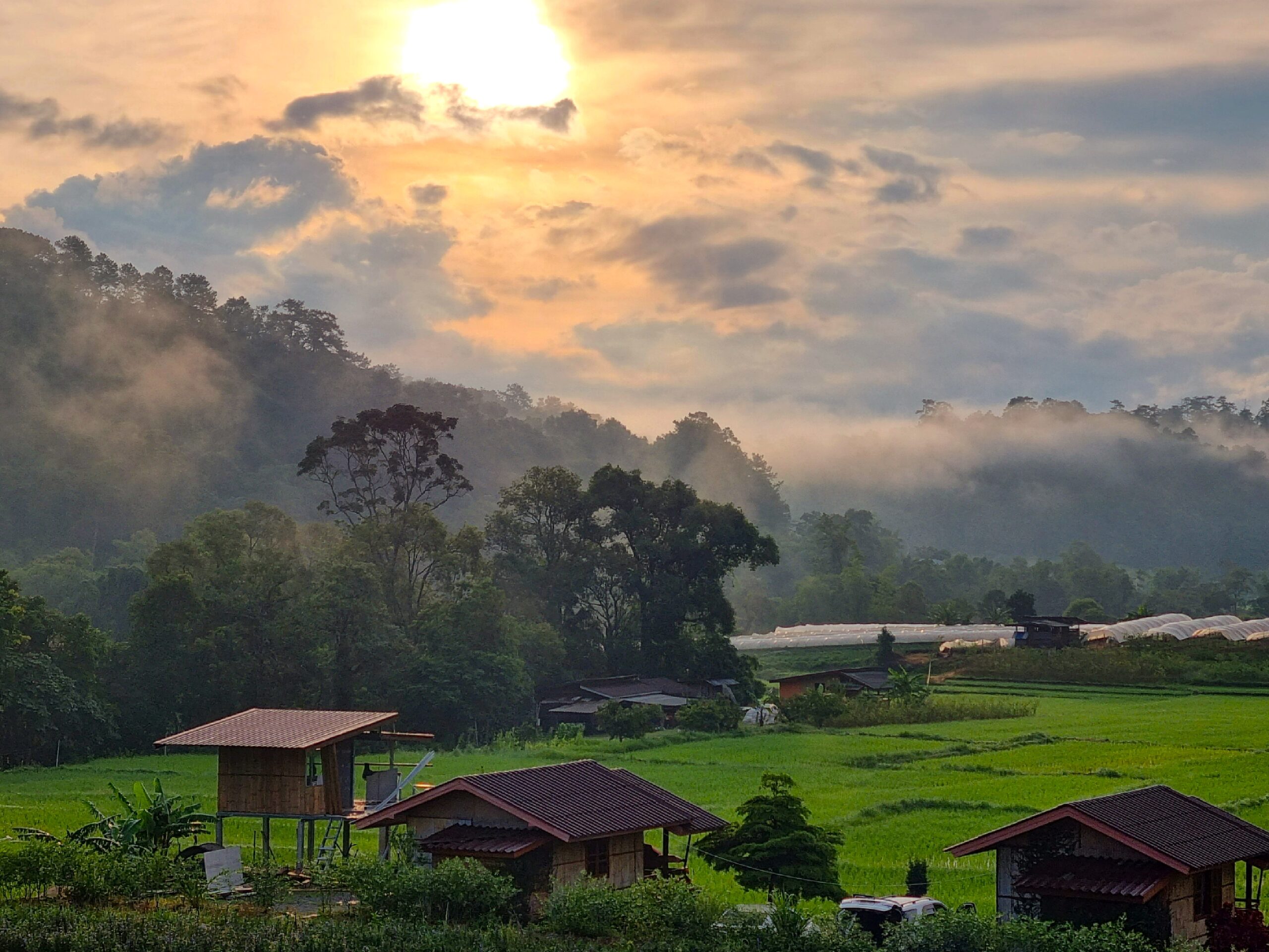 Verdant views from Klang Luang guest house