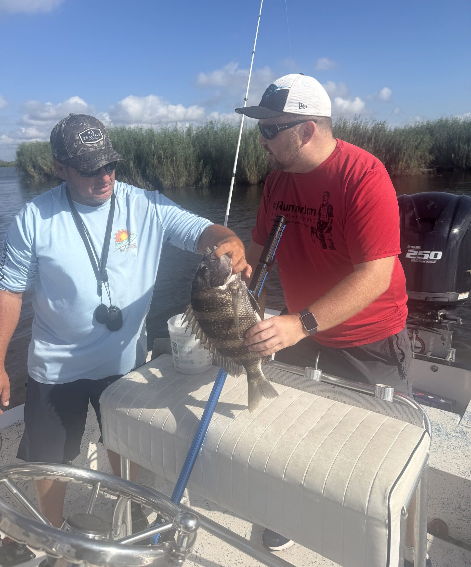 Holding a sheepshead fish on boat with Bourgeoisie Fishing Center