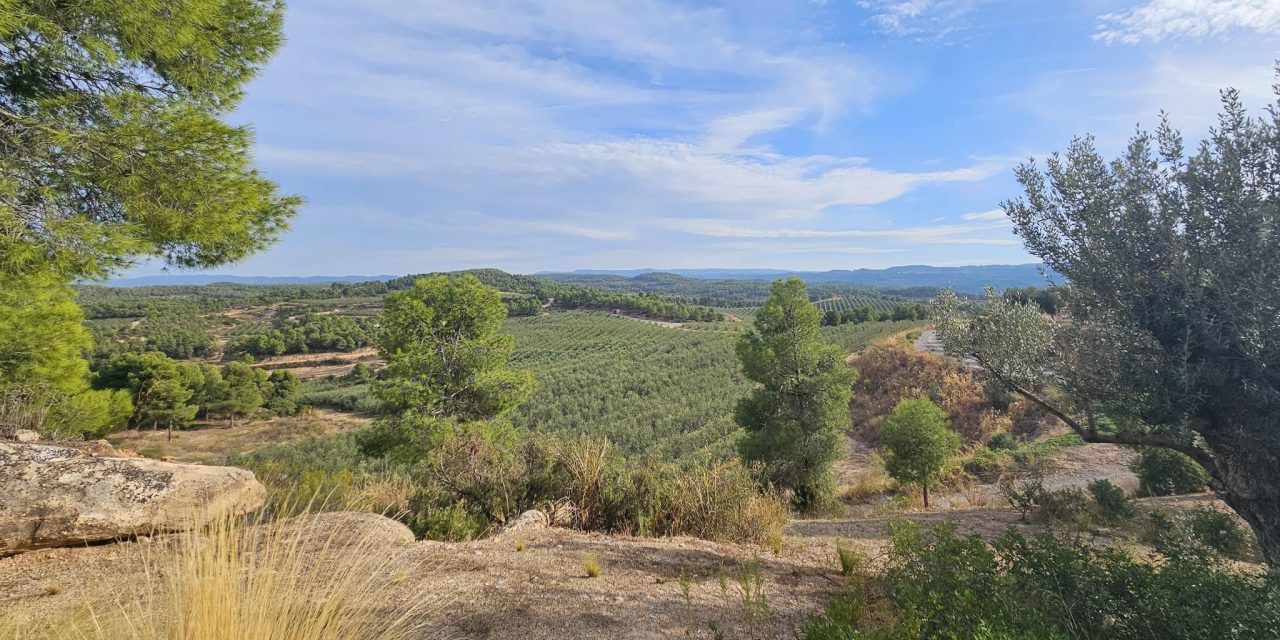 Cuadrat Valley Grounds