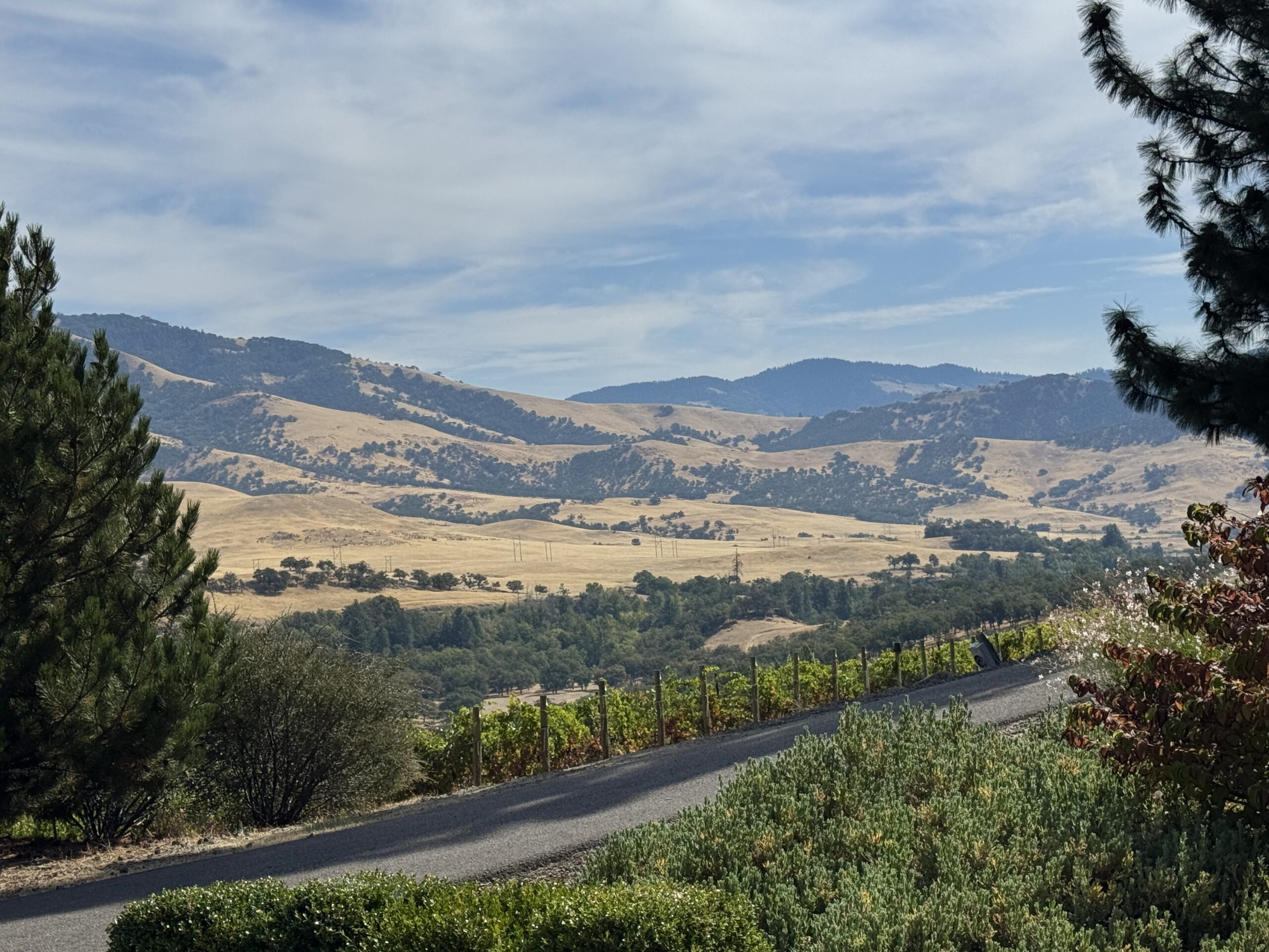 Rogue Valley Scenery near Ashland and Irvine & Roberts Winery