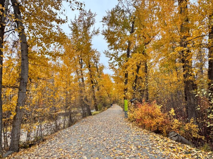 Bike Path in Kelowna