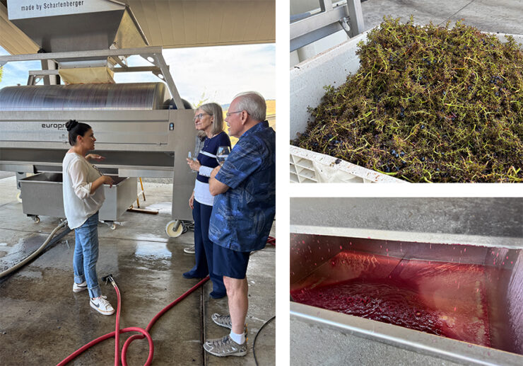 Three photos showing the grape processing area at Irvine & Roberts Vineyard, including the destemming and crushing.