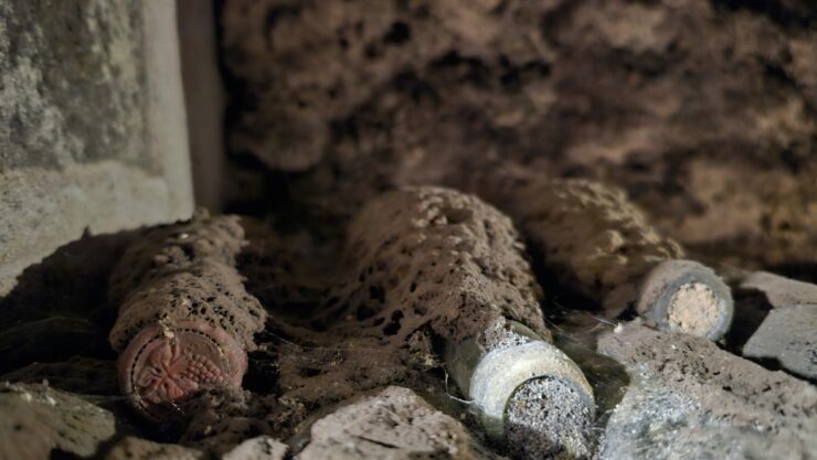 Old bottles of wine in a wine cellar with layers of dust at Caves du Pere Auguste