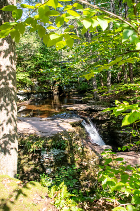 View of small waterfall set among lush green greens