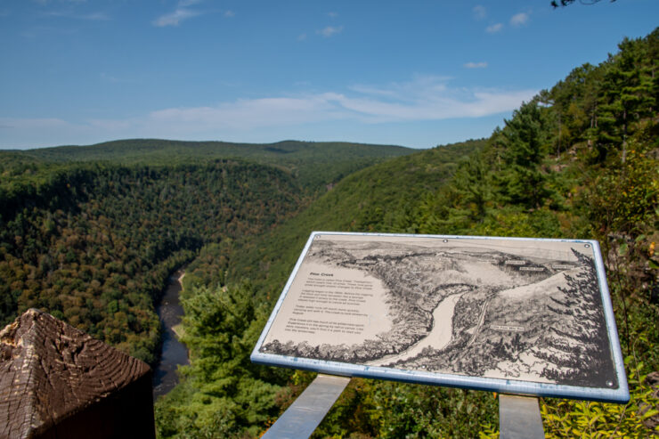 Panoramic view of forested area in Pennsylvania Grand Canyon from an overlook platform