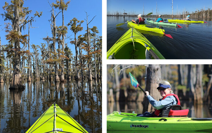 Kayaking on the calm waters of the Black Bayou Lake near Monroe.