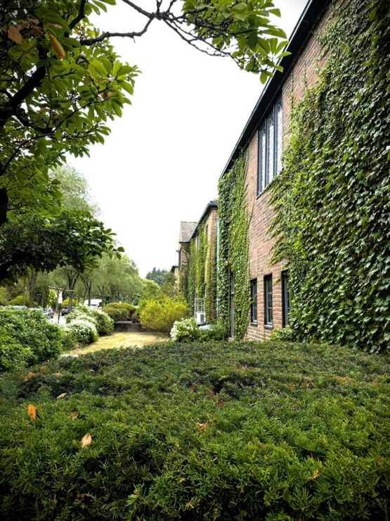 This photo shows a small view of the Cranbrook Campus as seen from the steps leading into Saarinen House
