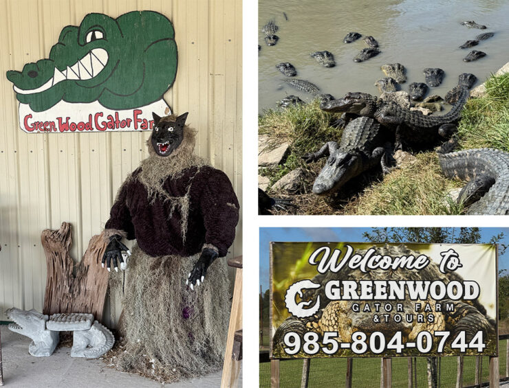 Greenwood Gator Farm signs, entrance and alligators in lake.