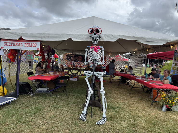 Skeleton in foreground with tables showing cultural demonstrations and native crafts at the Rougarou Festival.