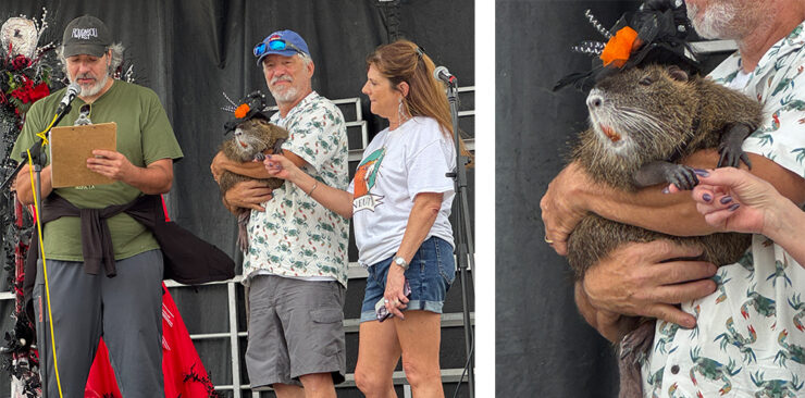Neuty the Nutria was "pardoned" as part of the annual Cajun Critter Pardoning ceremony. ©Debbra Dunning Brouillette