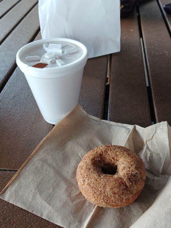 Cinnamon-sugar-crusted cider doughnut next to a styrofoam cup of hot cider