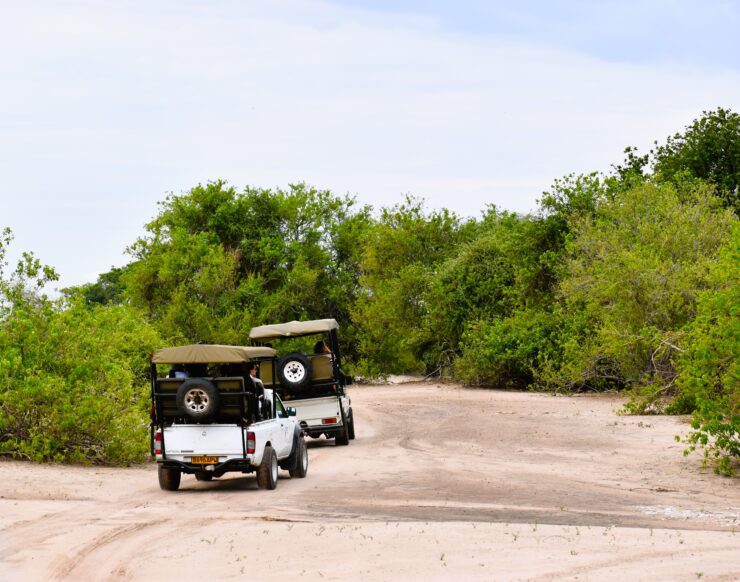 A Safari in Chobe National Park