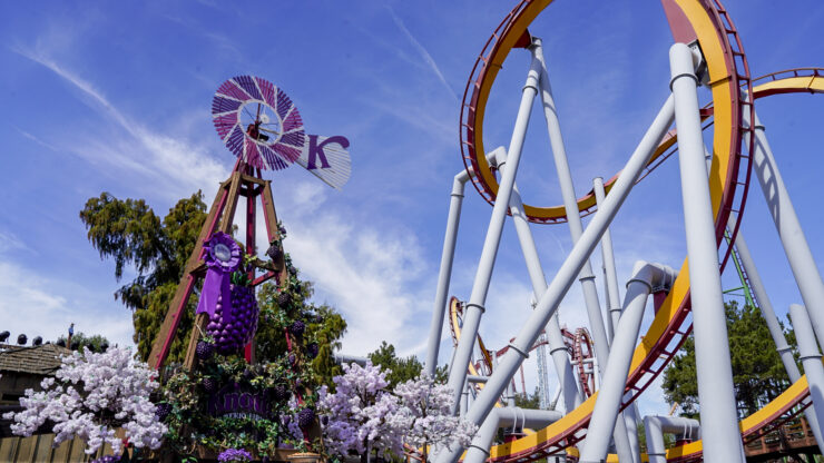 Boysenberry Festival entrance with a rollercoaster