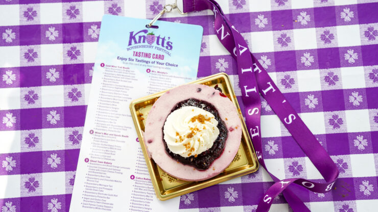 Knott's Festival cheese cake