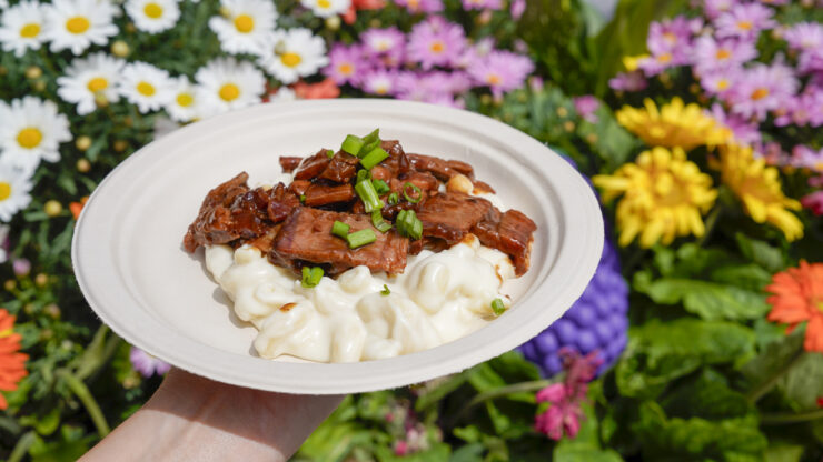 Mac and cheese with brisket