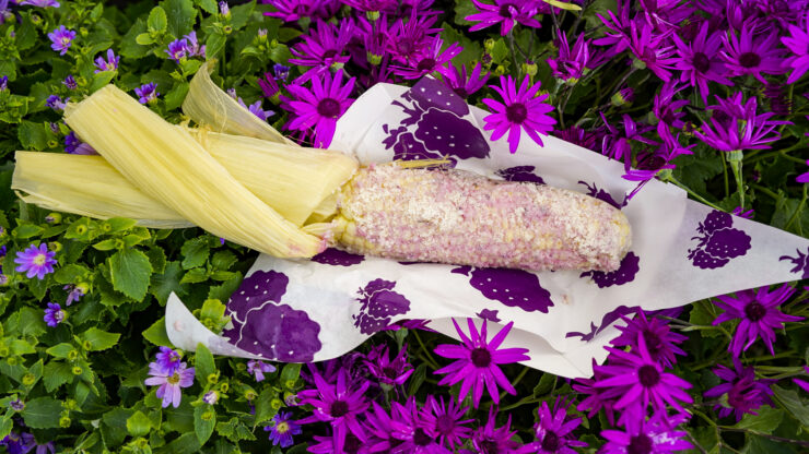 Boysenberry Festival corn elotes