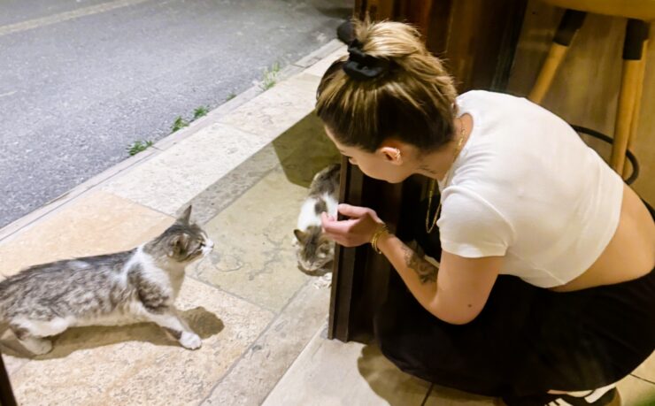 Restaurant server feeding local cats © Joelle Machia